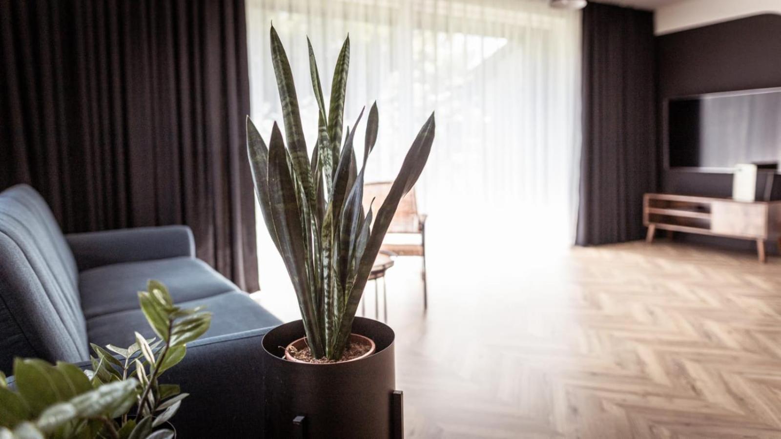 Apartments Abcd Biała Podlaska Zewnętrze zdjęcie