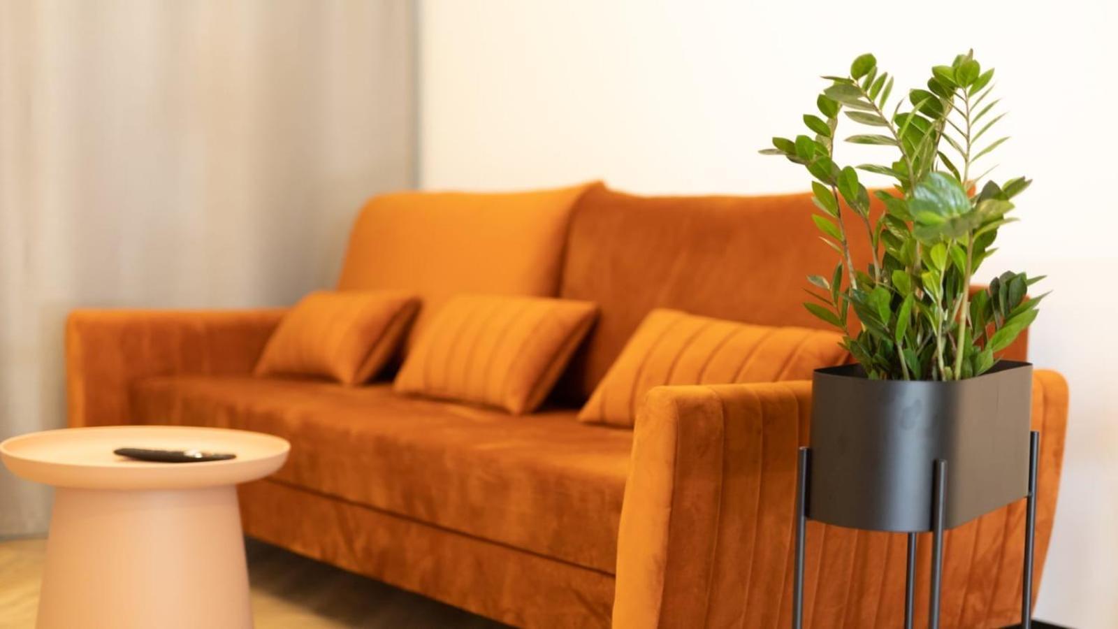 Apartments Abcd Biała Podlaska Zewnętrze zdjęcie